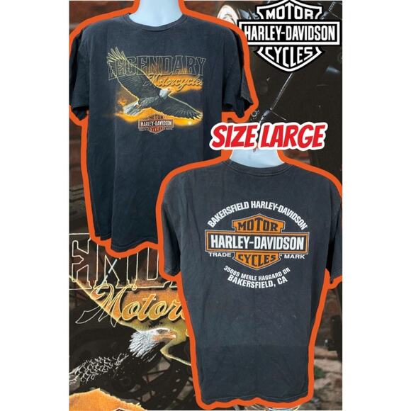 Harley-Davidson Large 2012 Large Legendary Motorcycle Eagle Flame Graphic - Picture 1 of 12